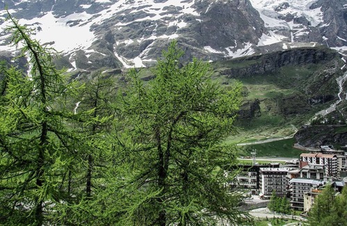 Cervinia Apartment | Just 30m from the ski lifts