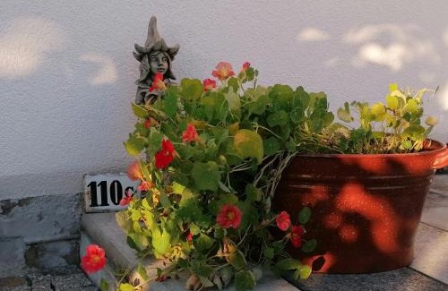 Reinhardtsdorf-Schoena House | Käthes Sommerhaus