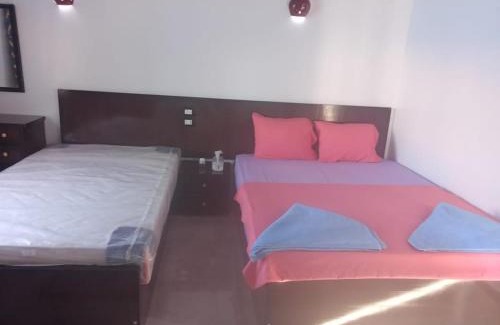 Aswan House | Kafana Guest House Nile View