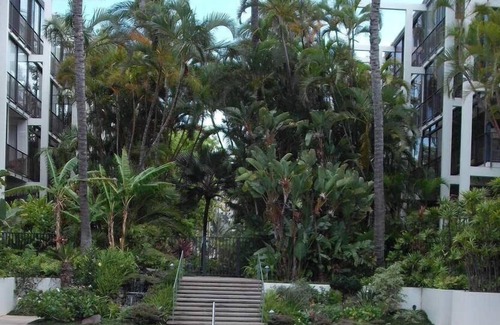 Waialae Iki Condo | Kahala Beach Ocean Front & Pool View