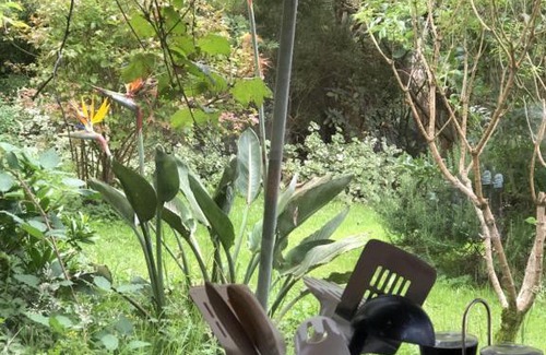 Apollo Bay House | Kahmahnee - Apollo Bay dog friendly retreat