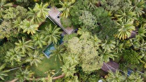Unawatuna Hotel | KAJU GREEN eco lodges