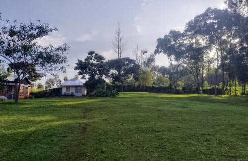 Kapsabet Other | Kakamega Forest Glamping Cabin