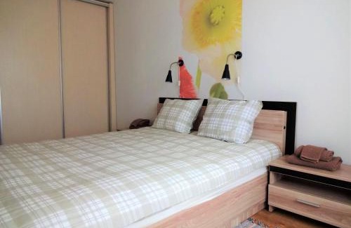 Valmiera Apartment | Kaktuss Apartamenti