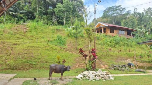 Sopai House | Kalembang Krenata homestay