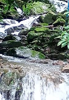 Villavicencio Hotel | Kaliawiri Bird Lodge & reserve