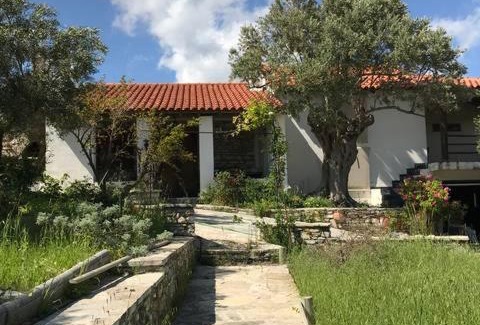 Pythagorion Villa | KALIVI Traditional Olive Farm Guest House