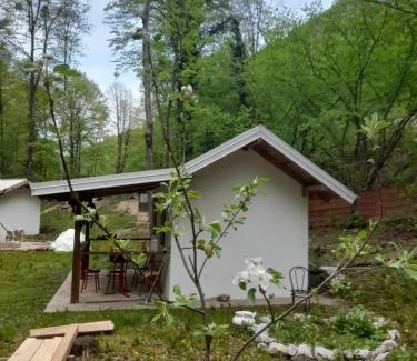 Mali Radic Apartment | Kanjonj rijeke une