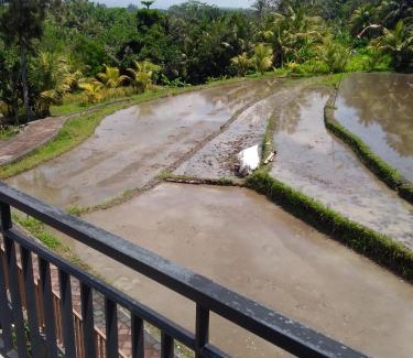 Abiansemal House | Karauci Homestay