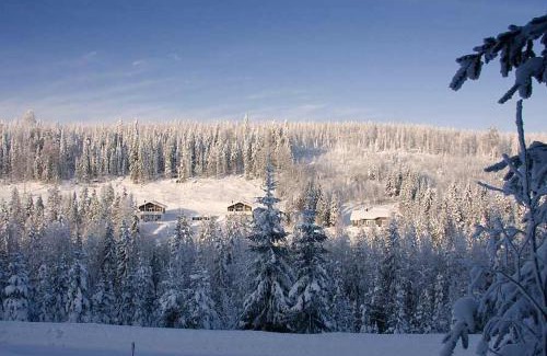 Nilsia Ski Chalet | Karkutahko Villas 1A - Spacious 3BR Villa in Tahko with Private Sauna