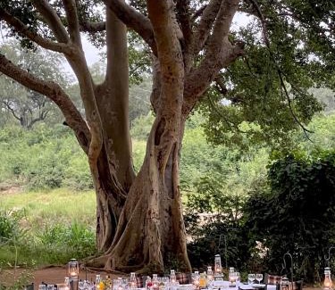 Maruleng Other | Karongwe - Chisomo Safari Camp