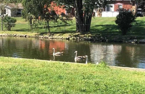 Casco House | Kate's Canalside CottagenKayak and fish right from your back yard!