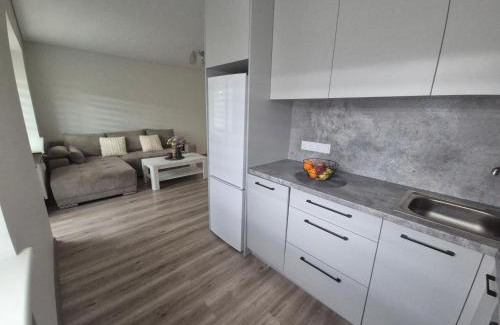 Kaunas Apartment | Kaunas City Apartment