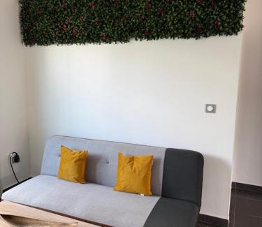 Cayenne Apartment | Kaz'Baduel piscine, terrasse et jacuzzi privatif, wifi et climatisation