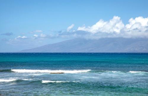 Napili Apartment | KBM Resorts FREE CAR Napili Bay Oceanfront Stunning Studio Villa Turtle views NAB-107