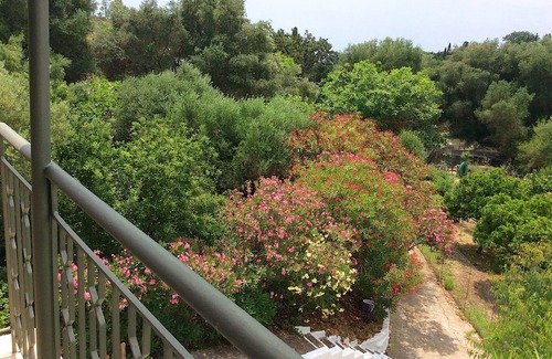 Leivathos Apartment | Kefalonia studios in orchard, top floor. Spartia Kefalonia Greece