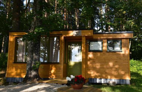 Burtnieki Other | Kempings Ezerpriedes