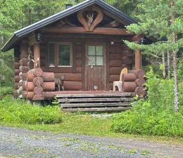 Jyvaskyla Ski Chalet | Kesämökki Korpilahdella, Päijänteen rannalla