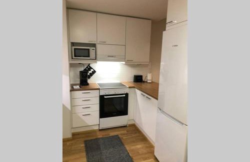 Oulu Apartment | Keskustan kaksio 45 m2 autopaikalla, Rautatienkatu 19, 9 krs
