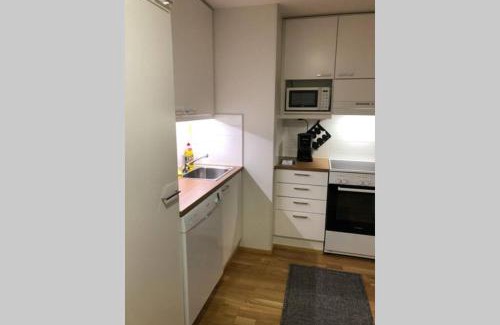 Oulu Apartment | Keskustan kaksio 45 m2 autopaikalla, Rautatienkatu 19, 9 krs