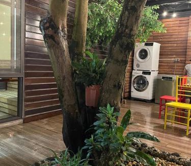 Quang An Ski Chalet | Không gian xanh an yên bên Hồ Tây