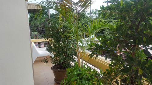 Koh Tao Hotel | Khun Ying House