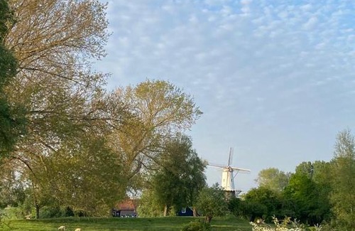 Zanddijk Apartment | Kievitenlaan 1 'Nescio'