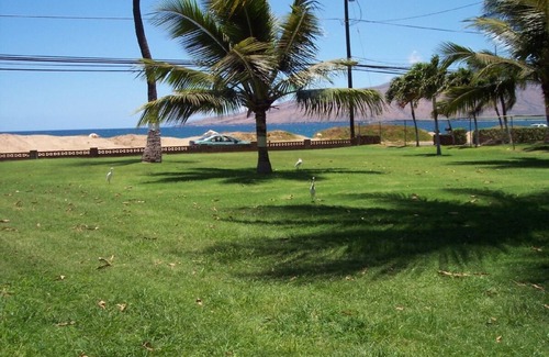 Kihei Cottage | Kihei - Tropical Cottage Across from the Beach - PERMIT # STKM 2015/0003