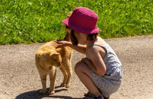 Steinbach an der Steyr House | Kinderbauernhof Salmanner