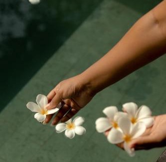 Negombo Hotel | Kirindi Paddy Isle