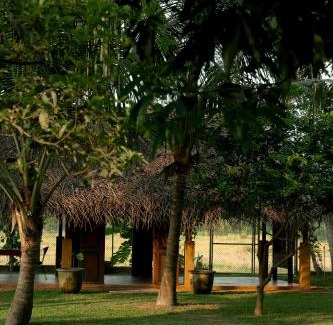 Negombo Hotel | Kirindi Paddy Isle