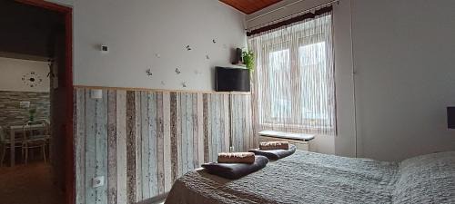 Tapolca Apartment | Kis kuckó