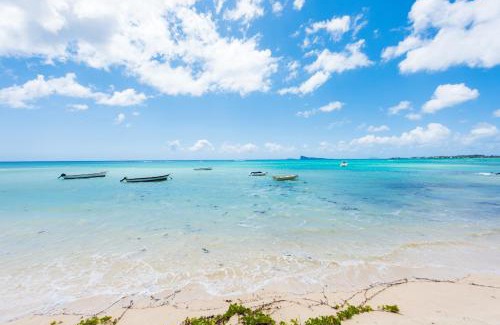 Pointe aux Canonniers Apartment | Kisana Residence - Spacious studio with balcony, shared pool and garden