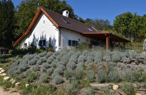 Dorgicse Villa | Kisleshegy Dörgicse Vendégház