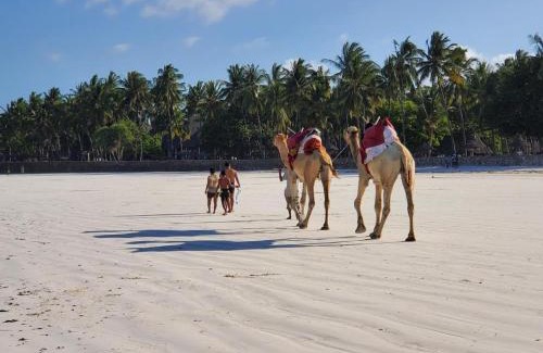 Galu House | Kivuli villas Diani ,located 2 minutes walk to the White sandy Diani Beach