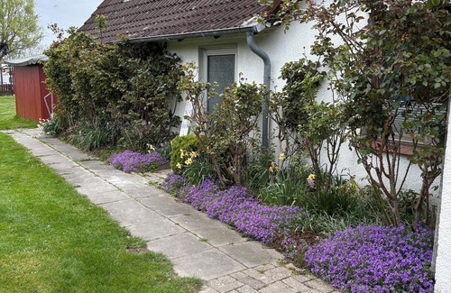 Butjadingen Apartment | Kleine Ferienwohnung Direkt am Deich und Hafen von Eckwarden mit Gartennutzung