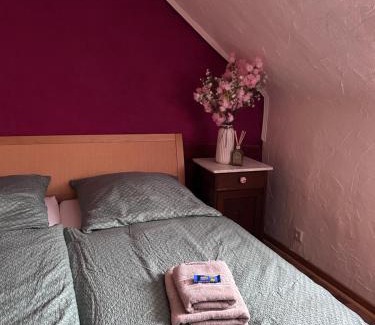 Kaiserslautern Apartment | Kleines Haus in der City von Kaiserslautern