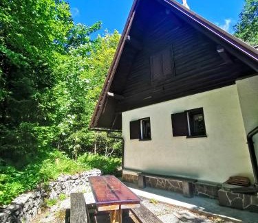 Ilirska Bistrica House | Koča Kresnica
