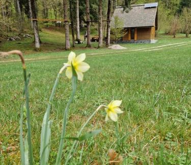 Bled Apartment | Koča v gozdu, Forest house near Bled
