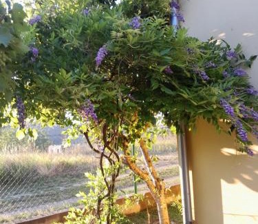 Smederevo Apartment | Kod kapetana