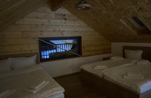 Bakuriani House | Kokhta Villa In Bakuriani