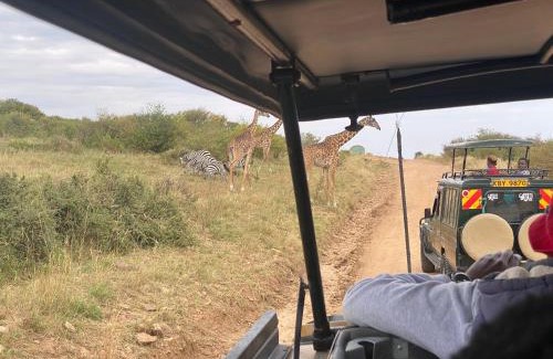 Nairobi Other | Koki Lodge