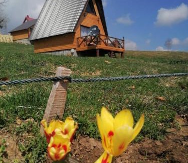 Zabljak Ski Chalet | Koliba Luča Smrčevo Brdo