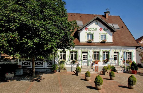 Breisach Apartment | Komfort Einzelzimmer mit Dusche/WC