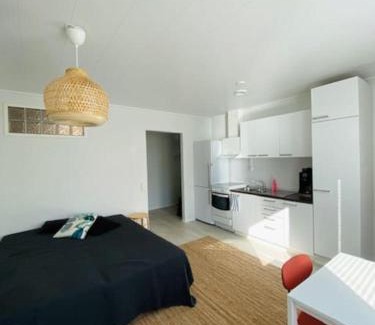 Herttoniemi Apartment | Kotimaailma - Kalustettu ja hyvin valoisa Studio Herttoniemessä