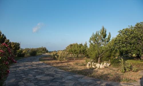 Vigla House | kouremenos beach house East
