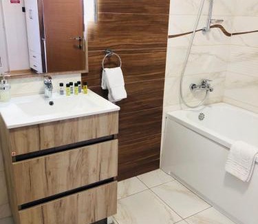 Central Banat District Hotel | Kovač Residence