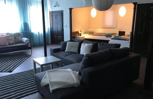 Mainz-Bingen Apartment | Krone