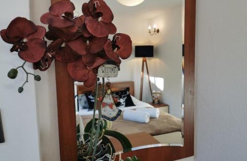 Polanica-Zdroj Apartment | Kryształowy Apartament z pięknym ogrodem w centrum uzdrowiska