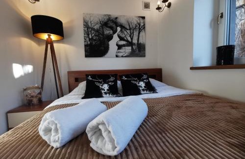 Polanica-Zdroj Apartment | Kryształowy Apartament z pięknym ogrodem w centrum uzdrowiska